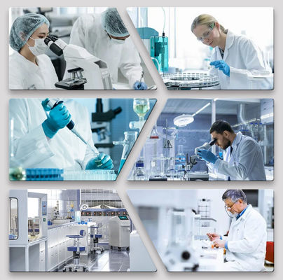 ประสบการณ์ 15 ปีกับสีรถยนต์ ฐานเคลือบสําหรับรถยนต์ ซ่อมแซมเทป