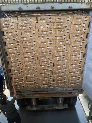 การปรับปรุงรถยนต์ด้วยสีรถ Meklon P-308